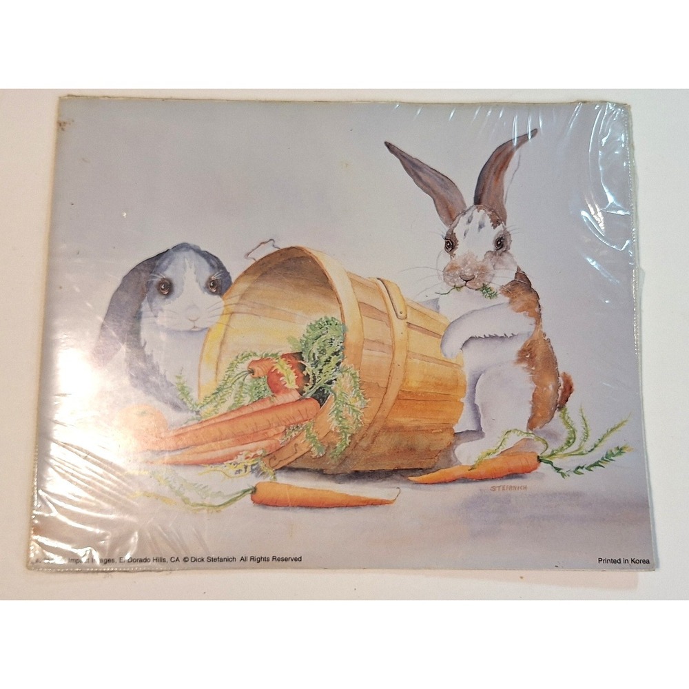 Vintage Dick Stefanich Bunny Rabbit Carrot Art Print‎ 8x10 Impact Images 20666